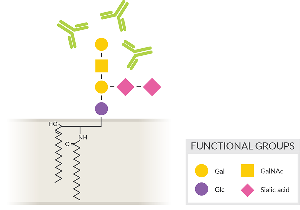 Glycolipid